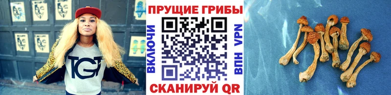 Галлюциногенные грибы мухоморы  ОМГ ОМГ рабочий сайт  Белоусово 
